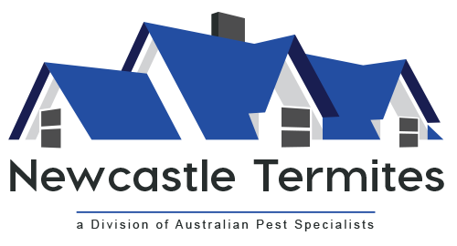 Newcastle Termites